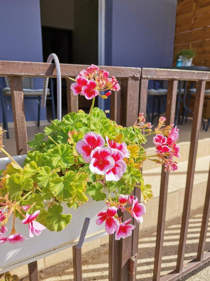 Hamboula Apartman Polis Kültér fotó