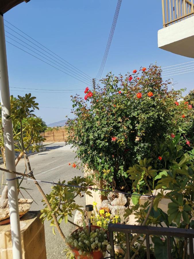 Hamboula Apartman Polis Kültér fotó